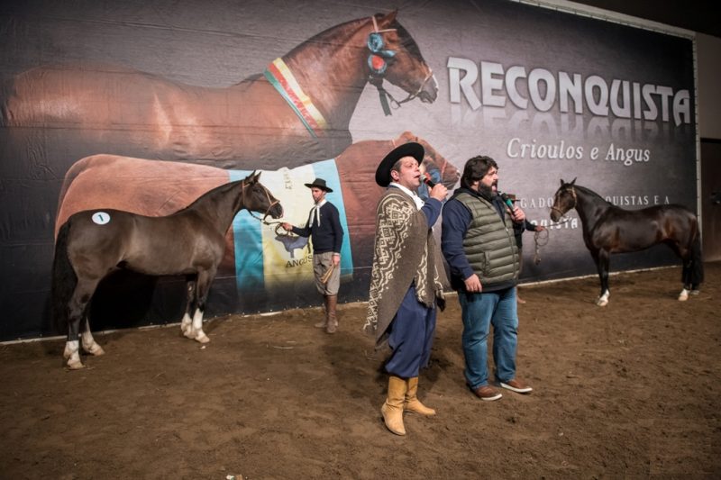Leilão Reconquista - Crédito Leandro Vieira