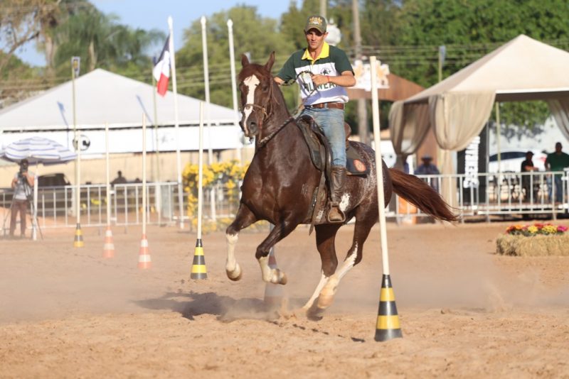 40ª Expo Nacional Mangalarga, foto Norberto Cândido