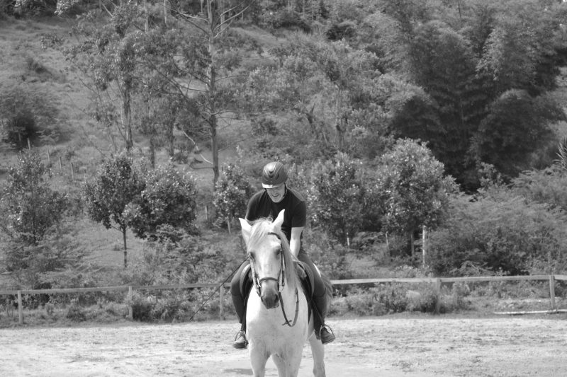 Cavalo e a depressão, by MAV