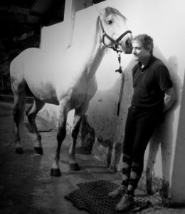 Depressão e o cavalo
