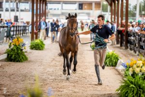 Pedro Muylaert com Prince Royal Z MFS na inspeção veterinária (Luis Ruas)