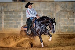 Rédeas de Ouro - Crédito Felipe Ulbrich ABCCC