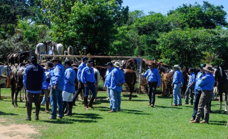 Bierrenbacada começou por iniciativa da família Bierrenbach, fonte Guabi