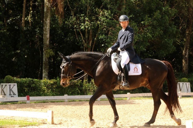 Mauro Pereira Jr com Don Enrico AMM está a caminho do Sul-americano 2018 (C.May)