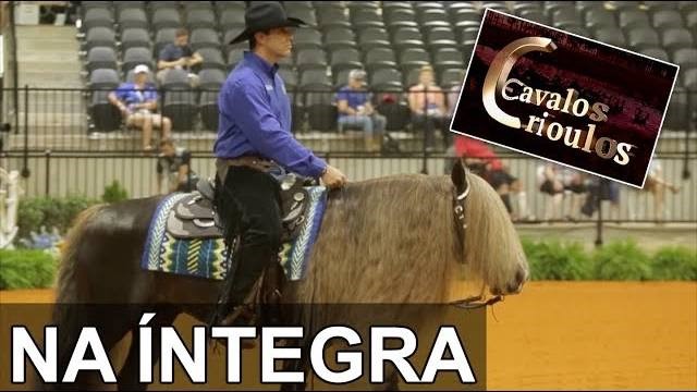 Programa Cavalos Crioulos Oficial no Jogos Equestre Mundiais