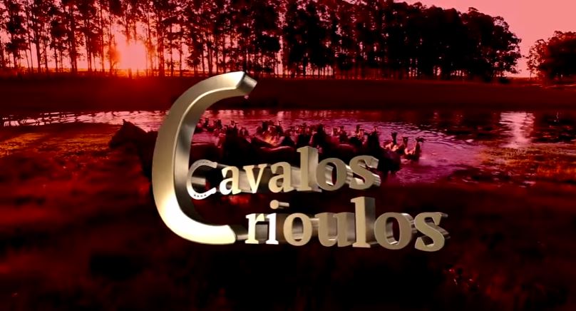 Programa Cavalos Crioulos