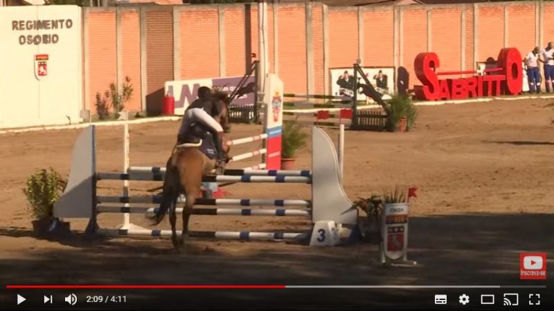 Cavalo crioulo no hipismo