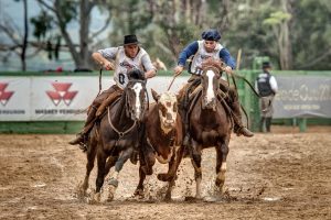 Freio de Ouro - Crédito Felipe Ulbrich ABCCC