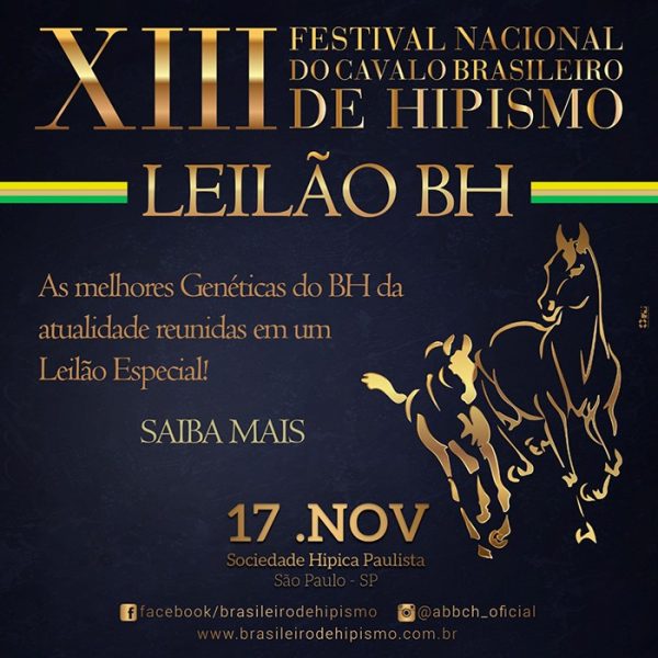 Leilão BH