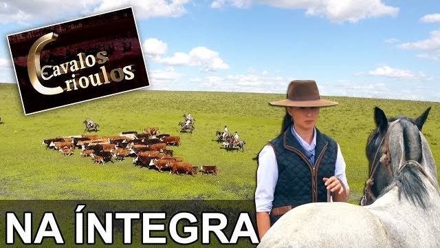 Programa Cavalos Crioulos de 11-11-2018