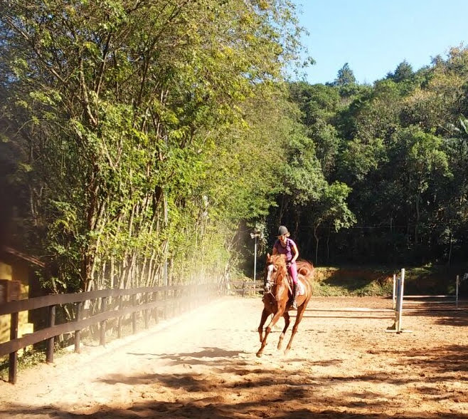 Cavalo quente, Biscoito TMV
