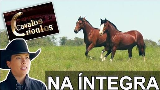 Programa Cavalos Crioulos de 09-12-2018