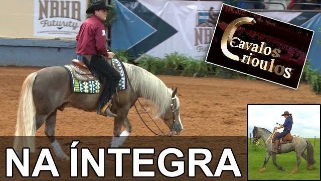 Programa Cavalos Crioulos de 16-12-2018