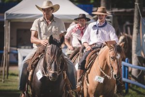 Cavalo Crioulo - Crédito Fagner Almeida ABCCC
