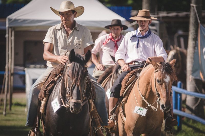 Cavalo Crioulo - Crédito Fagner Almeida ABCCC