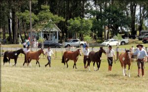 Exposição Lapa - Crédito Flávia Lacerda