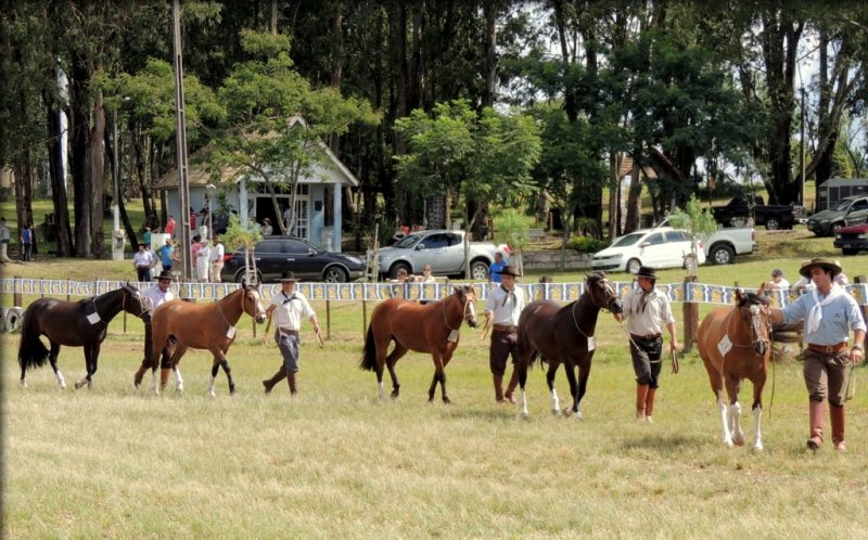 Exposição Lapa - Crédito Flávia Lacerda