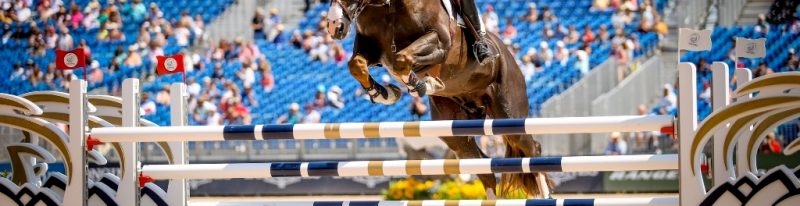 Hipismo salto CBH