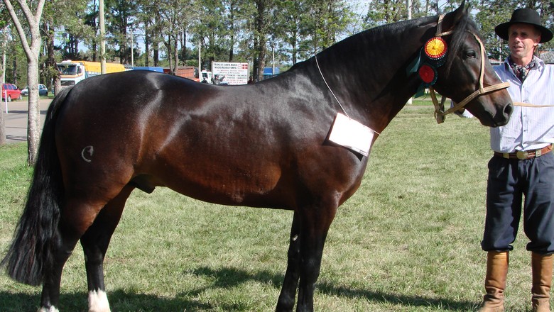 precocemente desaparecido Equador de Santa Edwiges, foto Internet