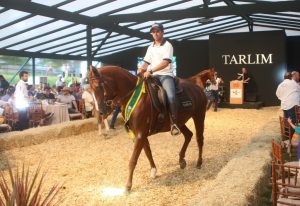 Evento alcançou a cotação média de R$ 194,7 mil por animal Crédito da foto Norberto Cândido.