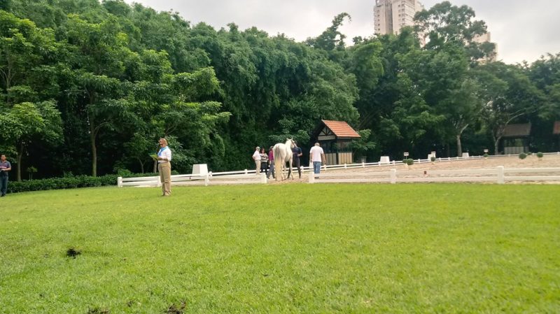 Inspeção veterinária da qualificativas pan-americanas de Adestramento em São Paulo