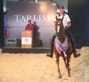 Leilão Tarlim Glamur RB por Norberto Cândido.
