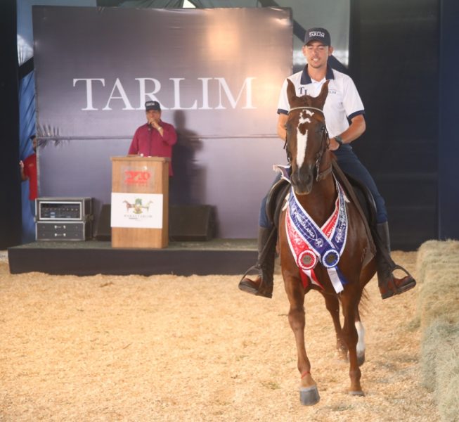 Leilão Tarlim Glamur RB por Norberto Cândido.