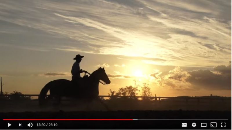 Porgrama Cavalos Crioulos de 17 de março