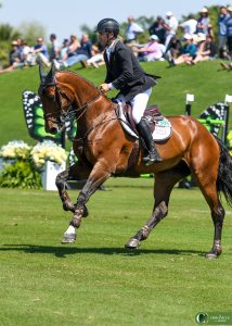 Rodrigo Lambre and Chacciama, fonte by The Chronicle of the Horse