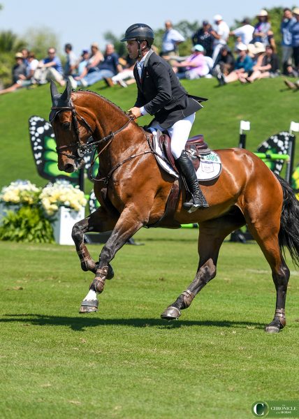 Rodrigo Lambre and Chacciama, fonte by The Chronicle of the Horse