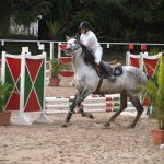 Vergano Marumby Puro Sangue Lusitano PSL