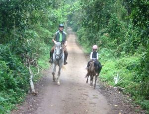 Benefício de montar