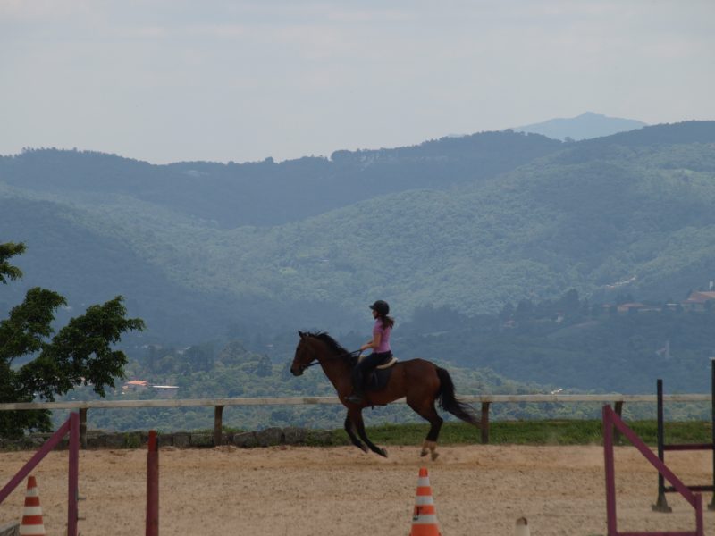 Laser e os esportes equestres