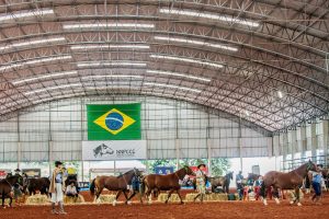 Passaporte Londrina - Crédito Felipe Ulbrich ABCCC