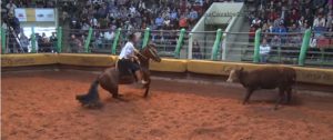 Programa Cavalos Crioulos de 14-04-2019