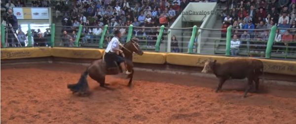 Programa Cavalos Crioulos de 14-04-2019