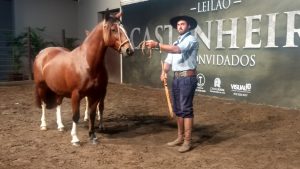 Bárbara dos Castanheiros - Crédito Nestor Tipa Júnior AgroEffective