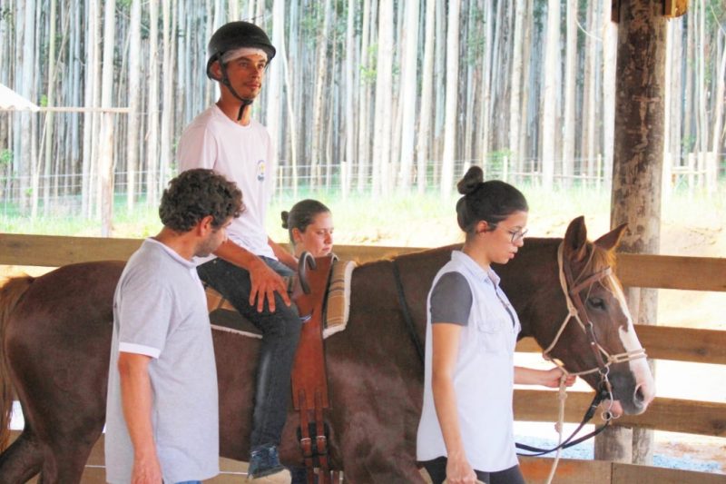 Terapia com Cavalos Crioulos auxilia sociabilidade de jovens em São Paulo