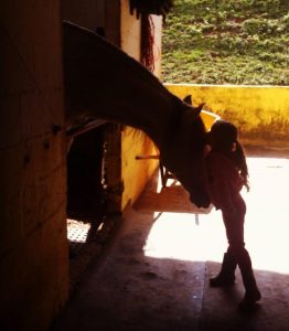 Equoterapia, Dimmy e Vergano