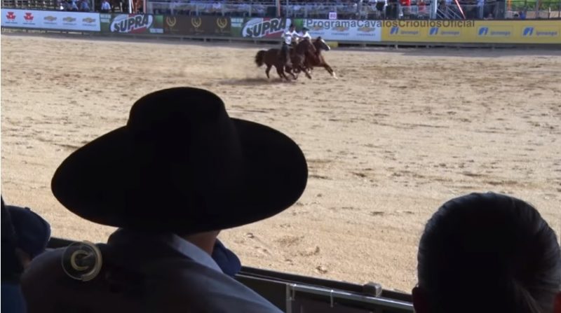 Programa Cavalos Crioulos de 26-05-2019