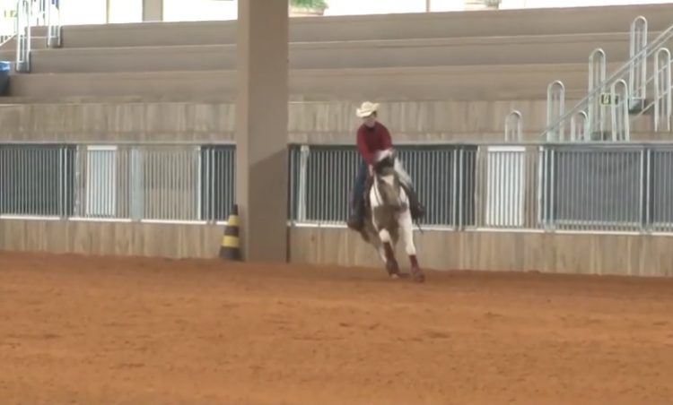 Programa Programa Cavalo Crioulo sem Fronteiras do dia 15 de junhoCavalos Crioulos de 15-06-2019