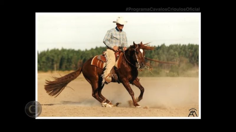 Programa Cavalos Crioulos de 16-06-2019