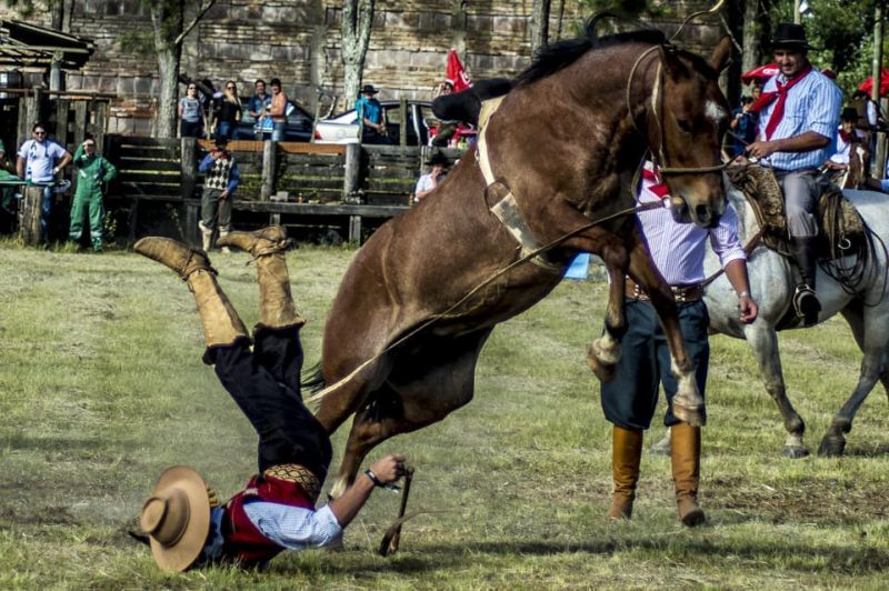 Tombo do cavalo