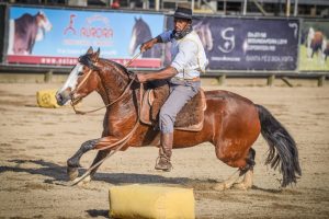 Esteio será palco neste fim de semana da Final da Doma de Ouro
