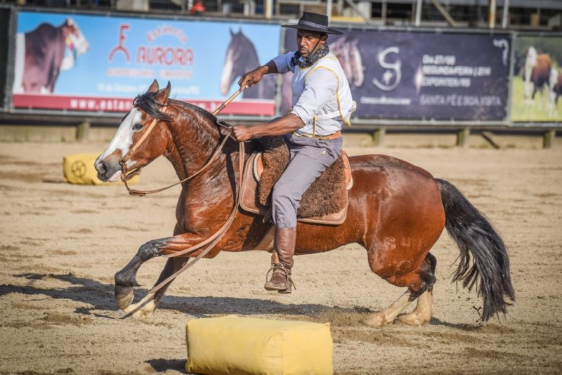 Esteio será palco neste fim de semana da Final da Doma de Ouro