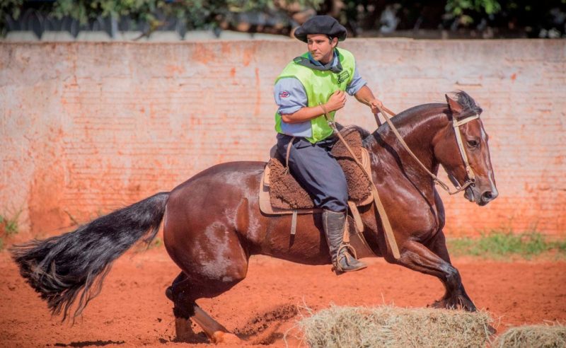 Freio de Ouro Campo Grande - Crédito Fagner Almeida ABCCC