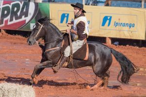 Freio de Ouro - Invernada do Espigão - Crédito Fagner Almeida ABCCC