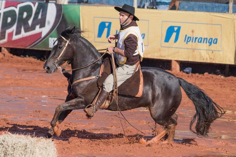 Freio de Ouro - Invernada do Espigão - Crédito Fagner Almeida ABCCC