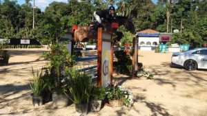 Marcello Ciavaglia campeão paulista Cavalos Novos 08 anos