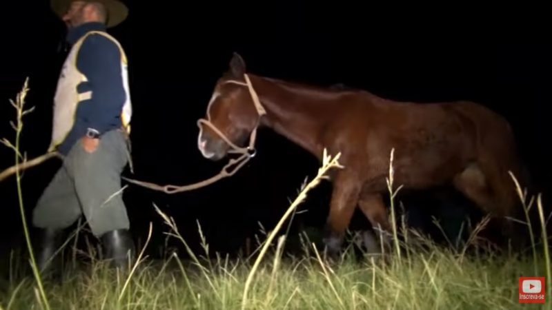Programa Cavalo Crioulo Sem Fronteiras - 13-07-2019